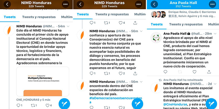 Instituto Holandés para la Democracia reitera su apoyo al fortalecimiento