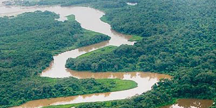 Destinan $65 millones a proyectos ambientales