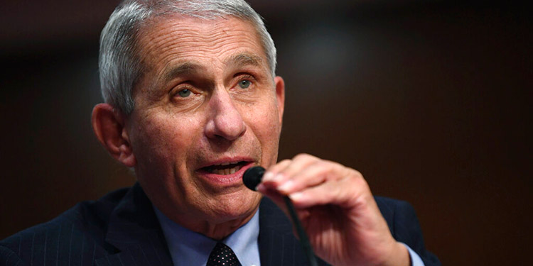 Fauci pide asumir que cepa británica tiene poder para ‘causar más daño’