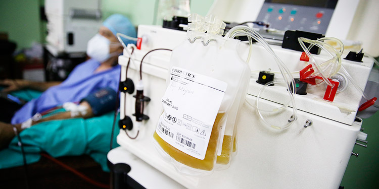 Terapia con plasma de convalecientes puede disminuir la gravedad de la COVID-19