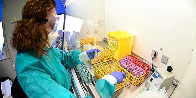 Epidemióloga hondureña: aumento de casos COVID-19 son por reinfección