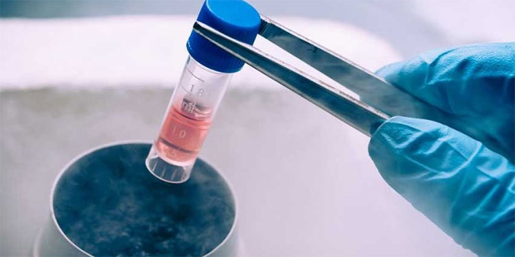 Farmacéutica AstraZeneca reanuda ensayos de vacuna contra covid-19