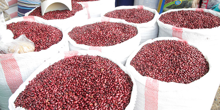 Más de mil lempiras cae precio de quintal de frijol