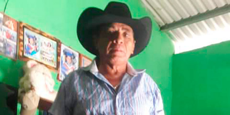 Muere electrocutado al cortar rama de árbol