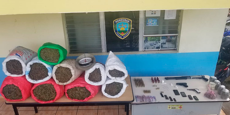 Lo capturan con 120 libras de “mota” armas y municiones