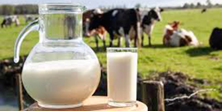 Presidente de Cahle: Producción de leche sube a 1.6 millones de litros diarios