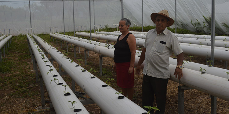 La producción en la pandemia no se detuvo la tierra y el agua