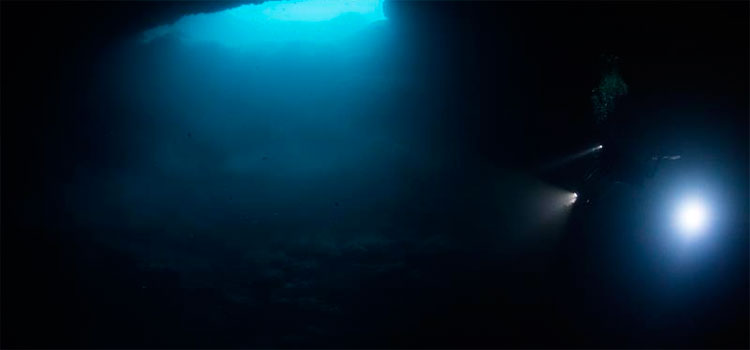 Encuentran cinco raros cenotes de agua dulce en el fondo del Caribe mexicano