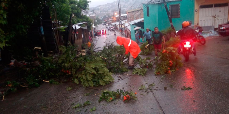 Comité de emergencia: El Lolo está sufriendo todos los embates de últimas lluvias
