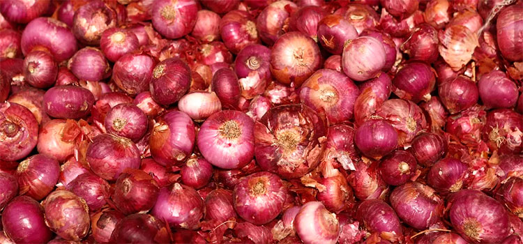 Cerca de 400 personas afectadas de salmonela por consumir cebolla roja
