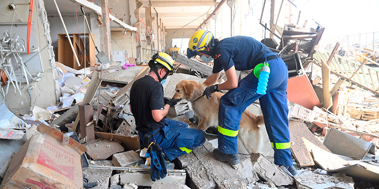 154 muertos y 120 heridos graves por la explosión en Beirut, según el ministro de Salud