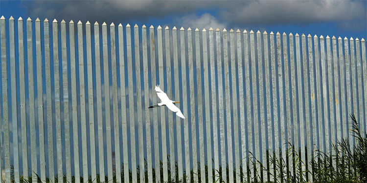 Contratista pro Trump gana nueva licitación de muro
