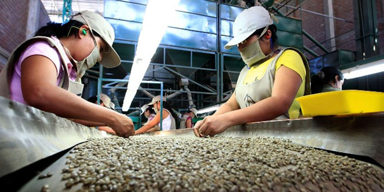 Un 40% del café se vendió con sobreprecio aplaude empresario