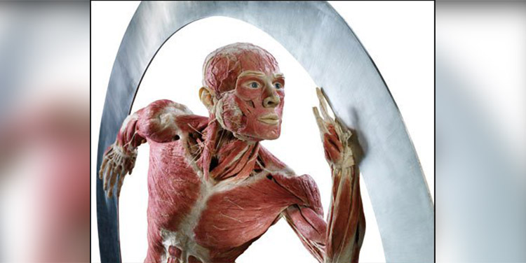 ‘Bodies’, la exhibición de cuerpos humanos reales expone efectos de COVID-19