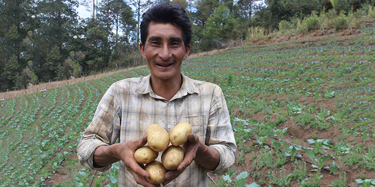 Sector agrícola presente en el 79% de las exportaciones