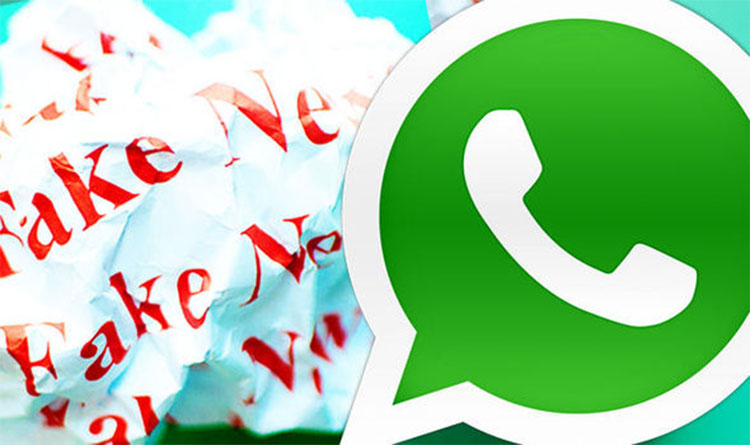 El papel de las "Fake news" y WhatsApp en las elecciones que ganó Bolsonaro