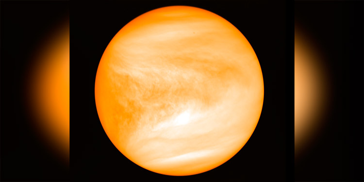 Hallan indicios de potencial vida en atmósfera de Venus
