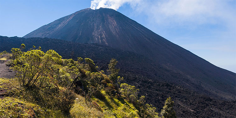 Guatemala vigila actividad volcánica de Pacaya por flujo de lava
