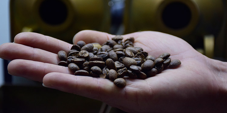 Subasta abre más puertas al café especial hondureño