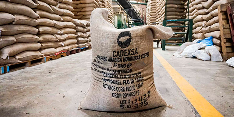 La bioseguridad un nuevo costo en cadena del café