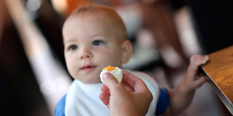 Consumo de huevo fortalece a los niños Para prevenir el COVID-19