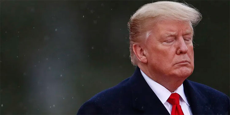 Trump pide que despidan a periodista de Fox que confirmó que él se expresó con desprecio hacia soldados