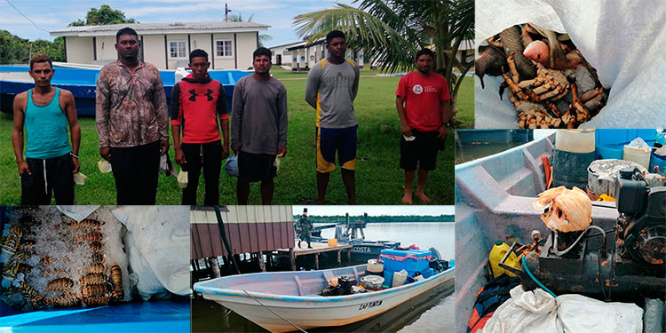 Detienen a seis nicaragüenses con pesca ilegal en aguas hondureñas