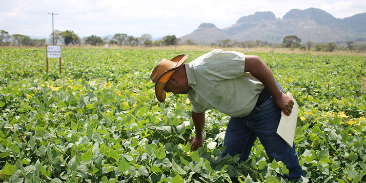 Reducen tres puntos Encaje Legal liberan L8700 millones a Mipymes