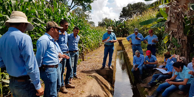 UNAG desarrolla plataforma para liderar producción agroalimentaria post-COVID-19