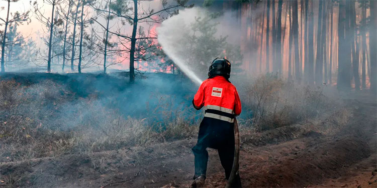Se vuelve viral imagen de la Virgen que quedó intacta tras un incendio