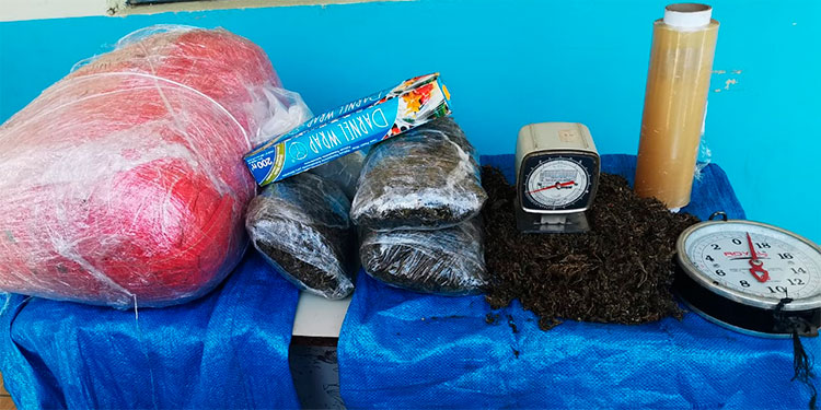 Unas 40 libras de marihuana decomisan en Colón