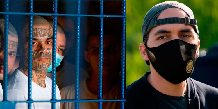 Pandillas, ¿el poder tras el milagroso descenso de homicidios en El Salvador?