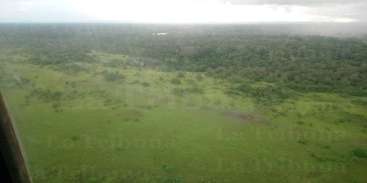 FFAA inhabilitan área clandestina de aterrizaje en Gracias a Dios