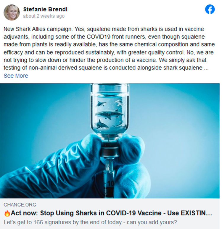 Por qué la vacuna contra el coronavirus podría ser una amenaza para los tiburones