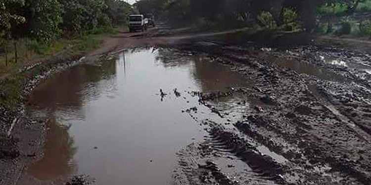 En peligro afluencia de turistas por pésimo estado de carretera