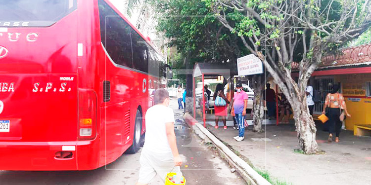 Cierran 3 empresas de transporte en La Ceiba por incumplir medidas de bioseguridad