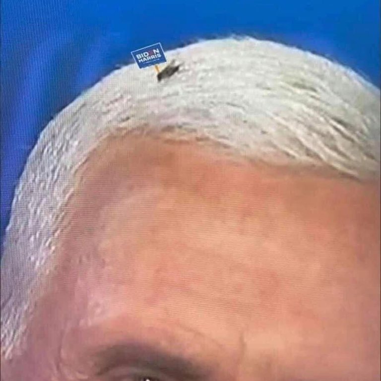 Los memes que dejó la mosca parada sobre el cabello de Pence en el debate