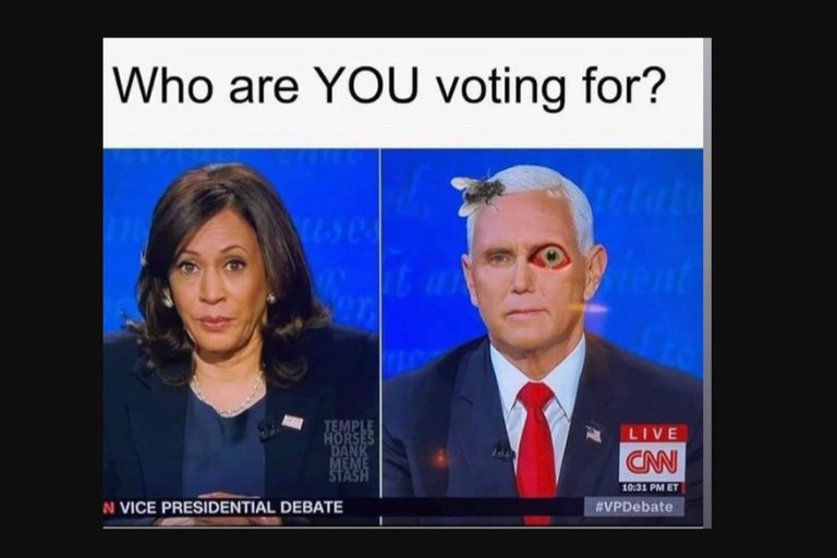 Los memes que dejó la mosca parada sobre el cabello de Pence en el debate