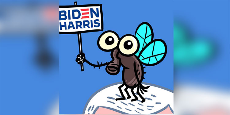 Los memes que dejó la mosca parada sobre el cabello de Pence en el debate