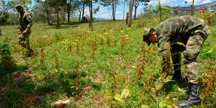 Finanzas transfiere L 16.3 millones para Programa Agrícola de FFAA