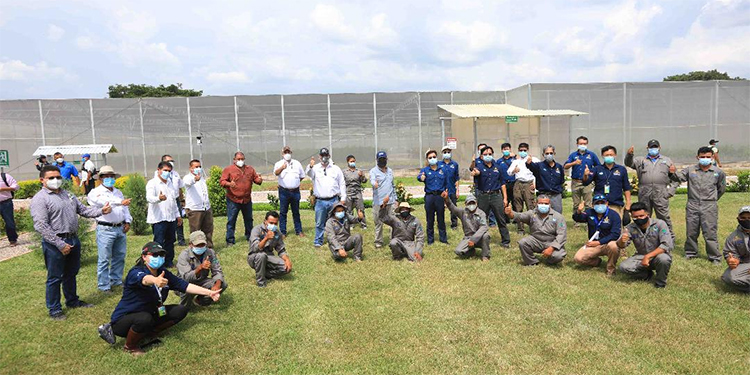 Inauguran el vivero de aguacate más grande de Honduras con apoyo de Taiwán