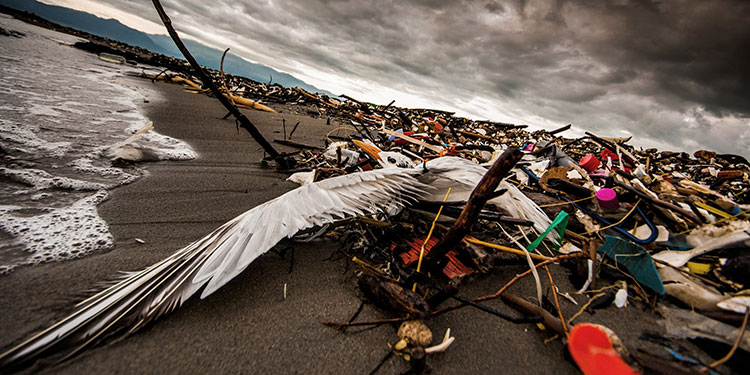 Biobardas no han frenado basura en río Motagua