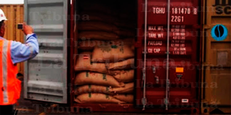 España descubre en café hondureño 250 kilos de cocaína procedentes de R.Dominicana