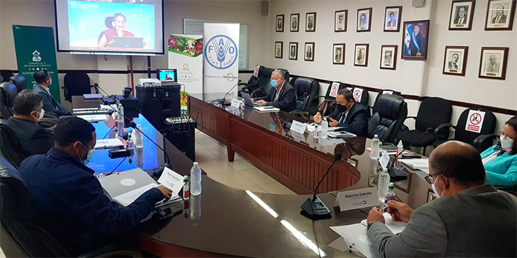Unos 35 países miembros participan en la XXXVI conferencia regional de la FAO