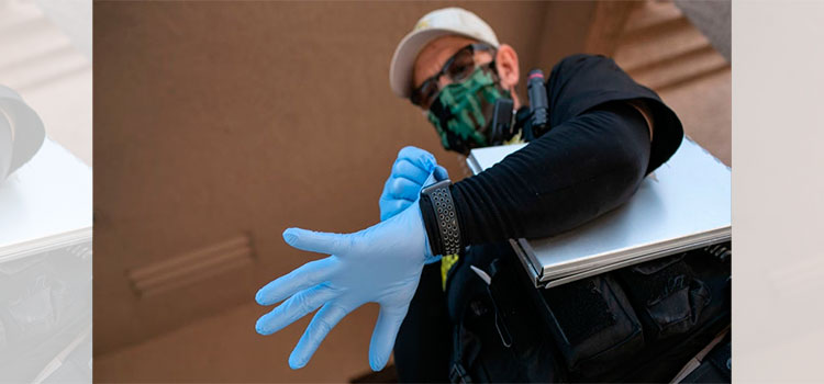 Roban más de 6 millones de guantes para hospitales de Florida