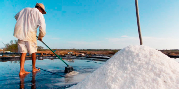 Producen 1.3 millones de quintales de sal pese a la pandemia