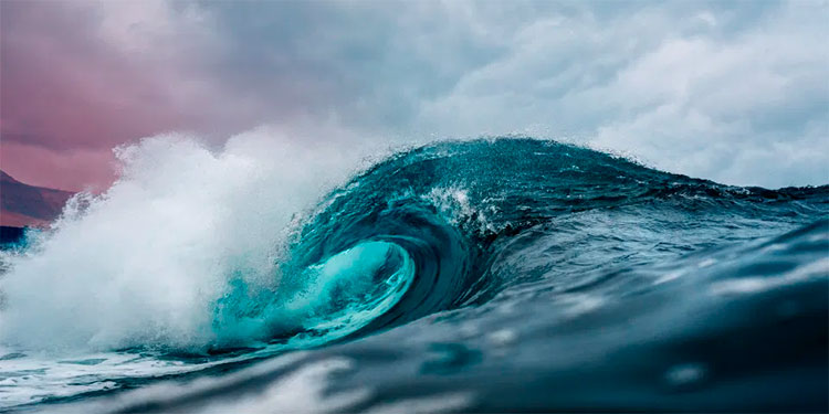 La conmovedora reacción de una anciana al conocer por primera vez el mar