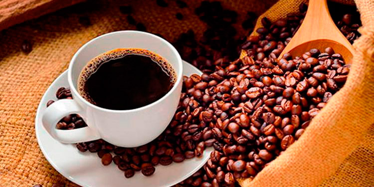 Cafetaleros sueñan con precio de $140 por saco de grano aromático