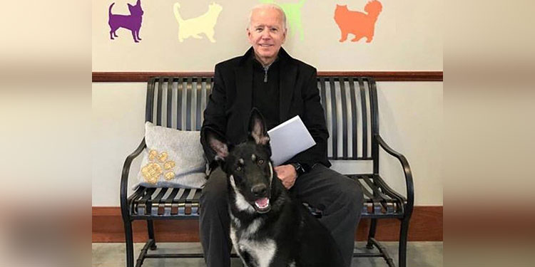 Major, el perrito rescatado que vivirá en la Casa Blanca