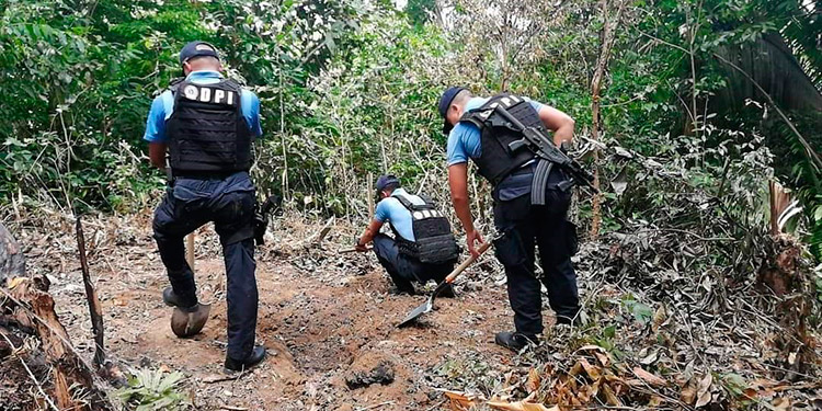 Detenidas 69 personas por robos y crímenes